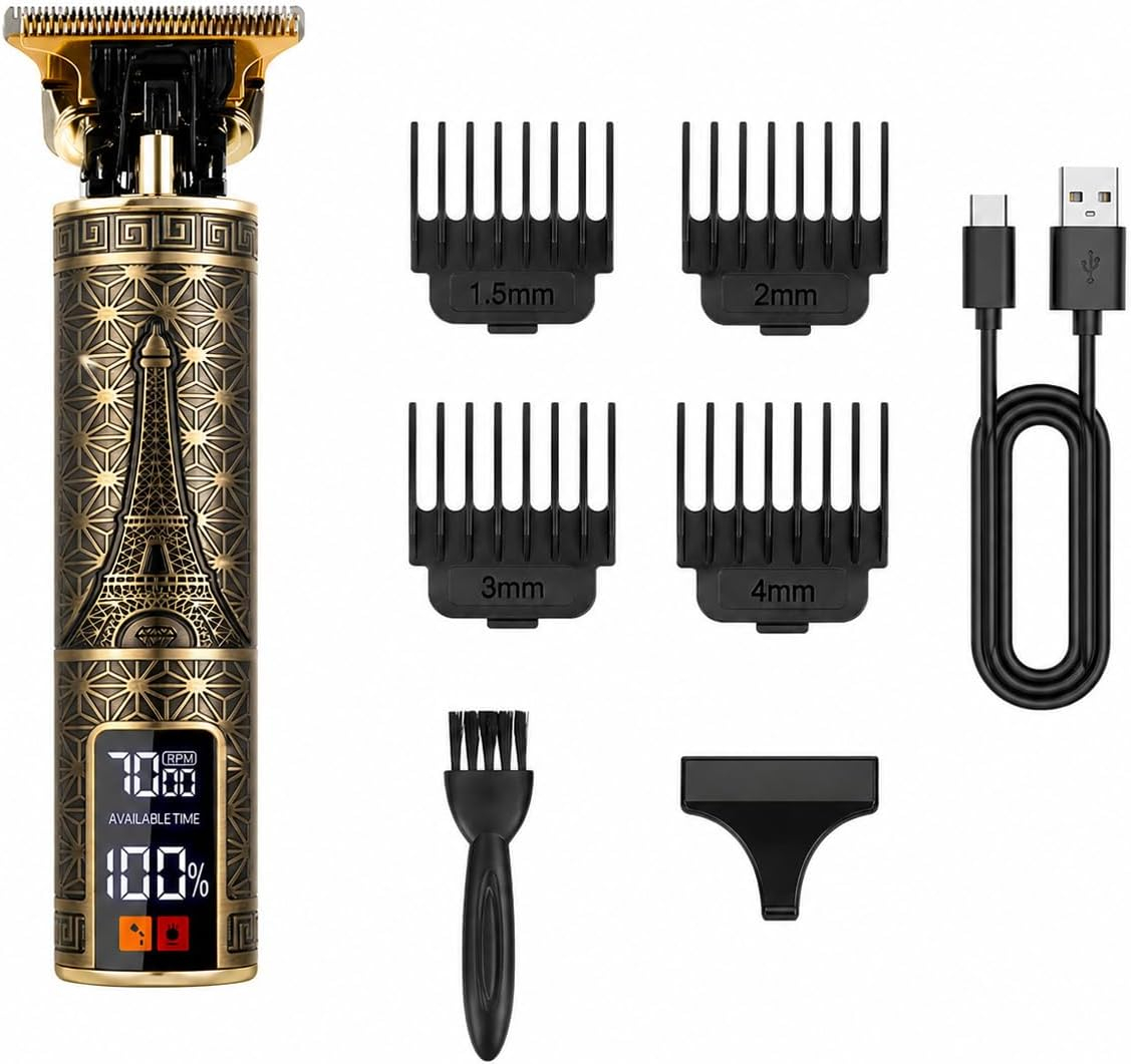 Professioneller elektrischer H – Hair Clipper Professional Bewertung und Preis